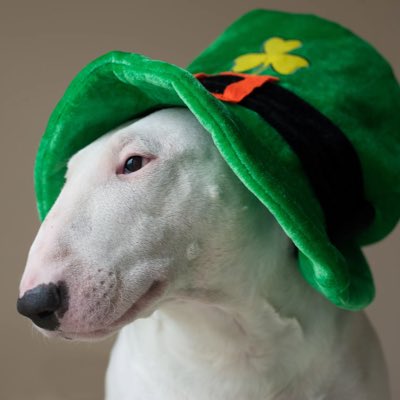 CoronetRyder's tweet photo. #NewProfilePic https://t.co/b6QMxhVuY6