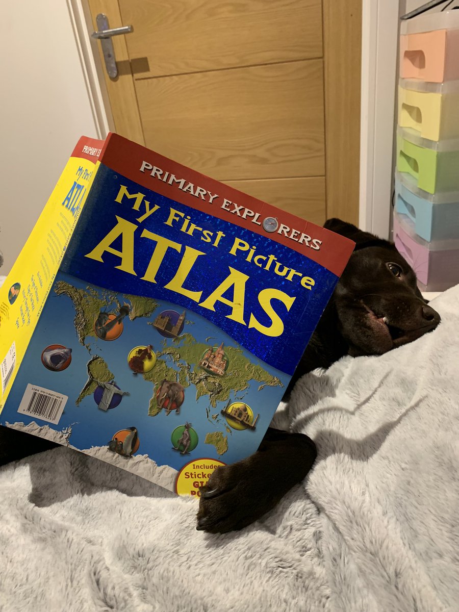 DuncanthecooDF's tweet photo. For World Book Day 2023, Duncan Forbes Primary would like to invite everyone to share their #bestreadingpic Please share with everyone far and wide to join our challenge and please use the hashtags #bestreadingpic #achievinghappysafedf   Here’s Pollaidh to start us off!😍 https://t.co/kLsc7LHiO0