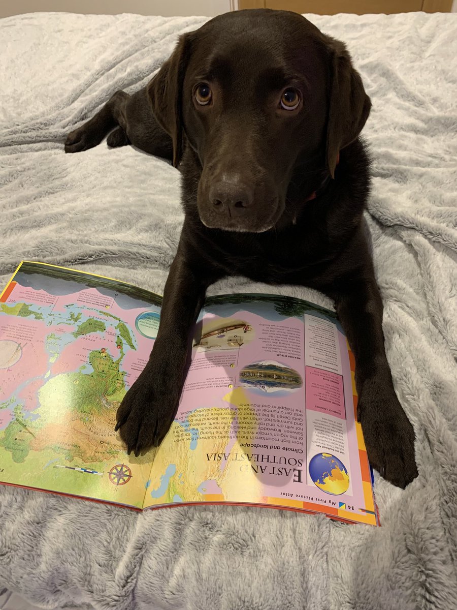 DuncanthecooDF's tweet photo. For World Book Day 2023, Duncan Forbes Primary would like to invite everyone to share their #bestreadingpic Please share with everyone far and wide to join our challenge and please use the hashtags #bestreadingpic #achievinghappysafedf   Here’s Pollaidh to start us off!😍 https://t.co/kLsc7LHiO0