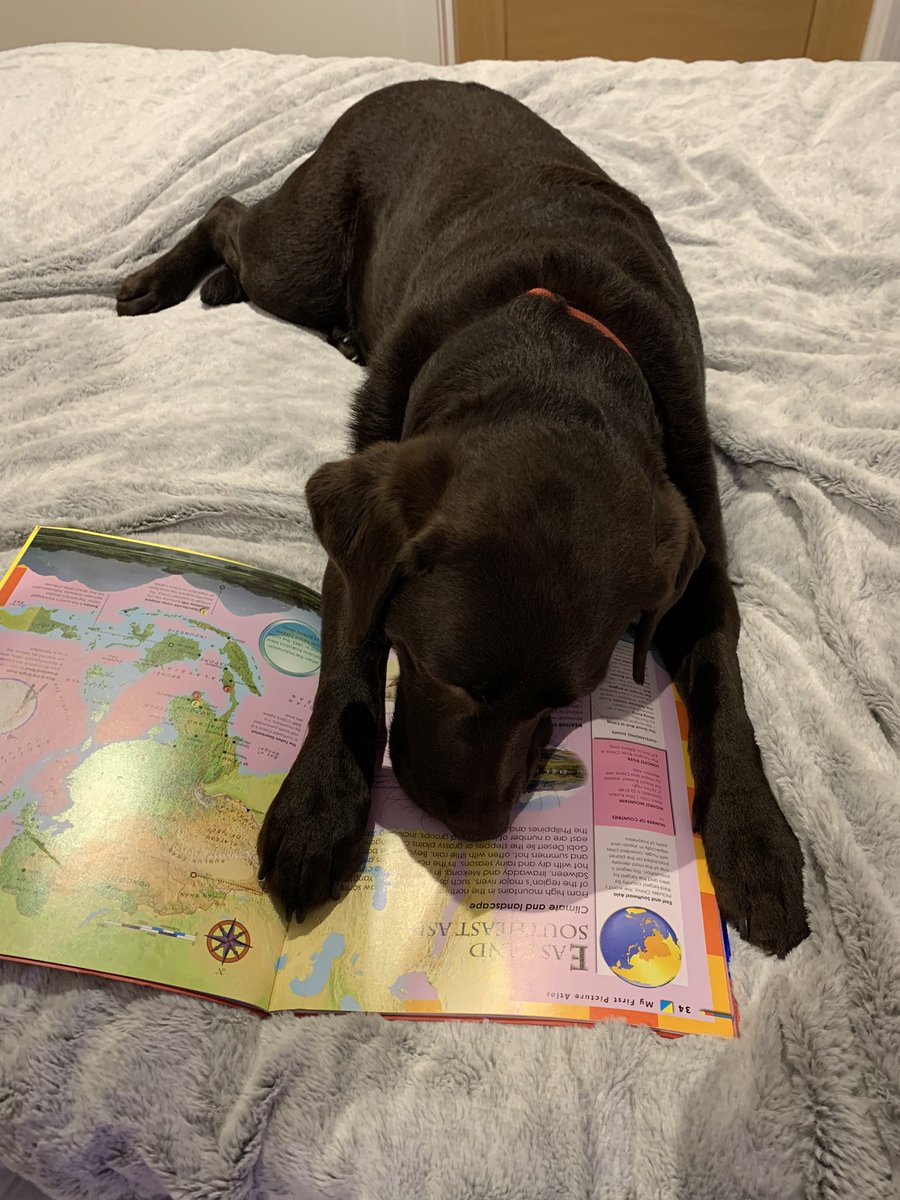 DuncanthecooDF's tweet photo. For World Book Day 2023, Duncan Forbes Primary would like to invite everyone to share their #bestreadingpic Please share with everyone far and wide to join our challenge and please use the hashtags #bestreadingpic #achievinghappysafedf   Here’s Pollaidh to start us off!😍 https://t.co/kLsc7LHiO0