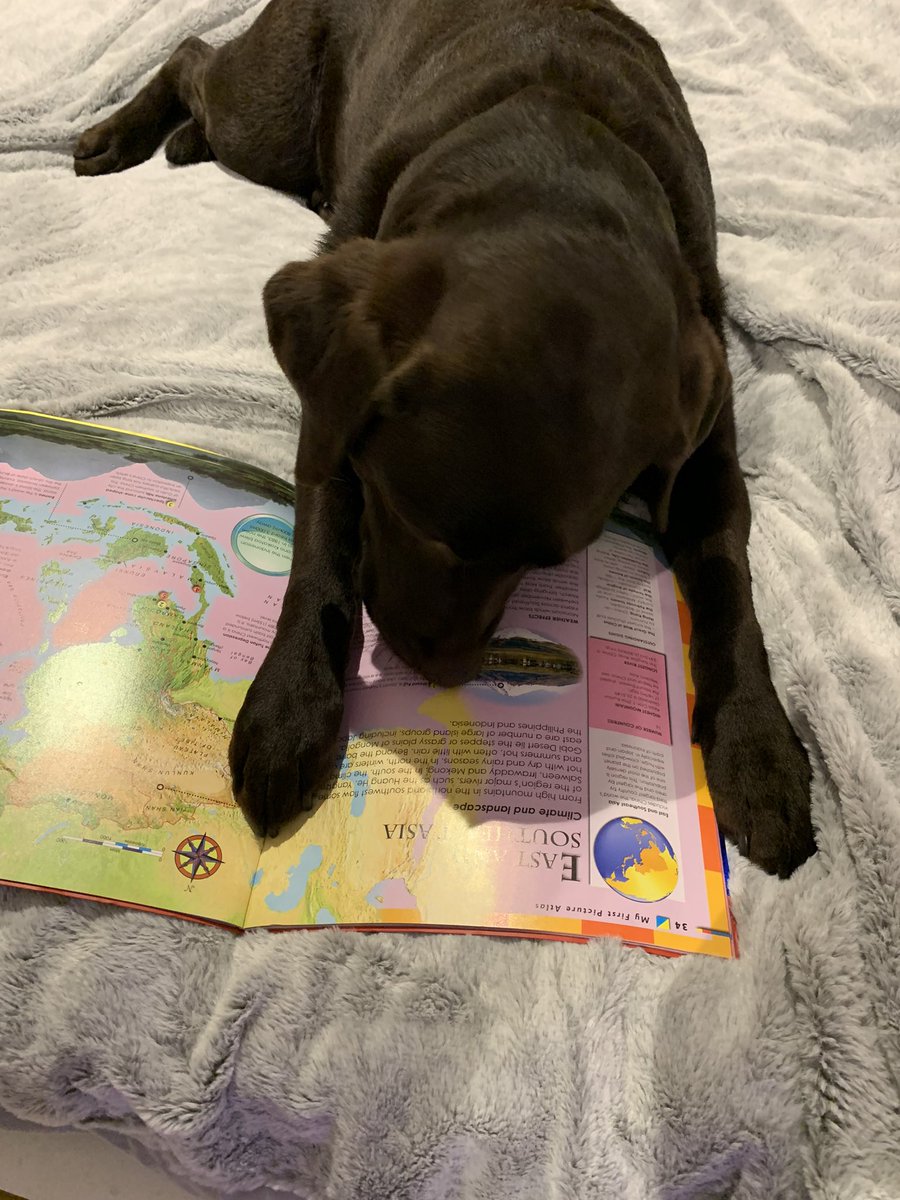 DuncanthecooDF's tweet photo. For World Book Day 2023, Duncan Forbes Primary would like to invite everyone to share their #bestreadingpic Please share with everyone far and wide to join our challenge and please use the hashtags #bestreadingpic #achievinghappysafedf   Here’s Pollaidh to start us off!😍 https://t.co/kLsc7LHiO0