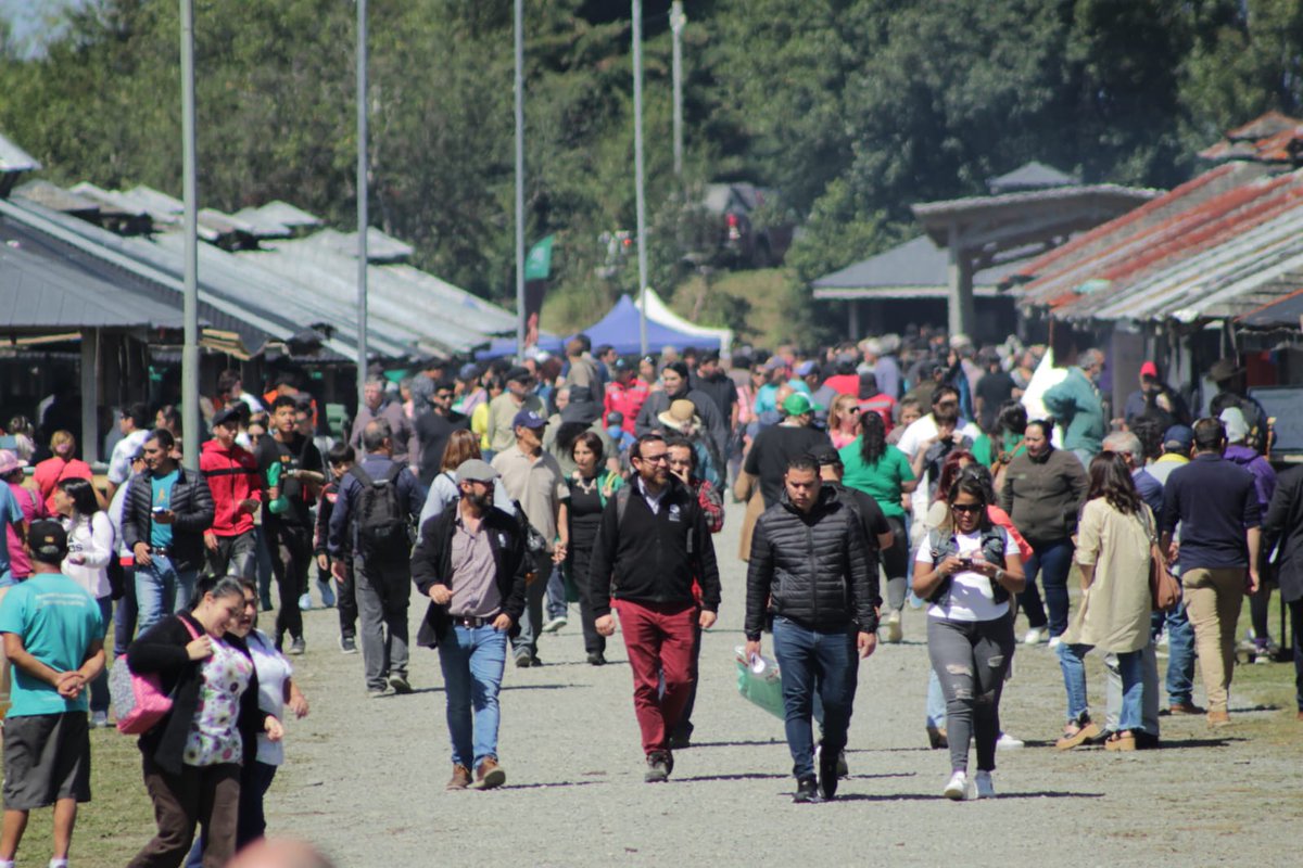 rrppcastro's tweet photo. [GALERÍA IMÁGENES SEGUNDO DÍA FERIA DE LA BIODIVERSIDAD 2023]

Compartimos un resumen con las mejores imágenes del segundo día de la 20° versión de la Feria de la Biodiversidad 2023, organizada por #CastroMunicipio. https://t.co/nAnxBsiOPb