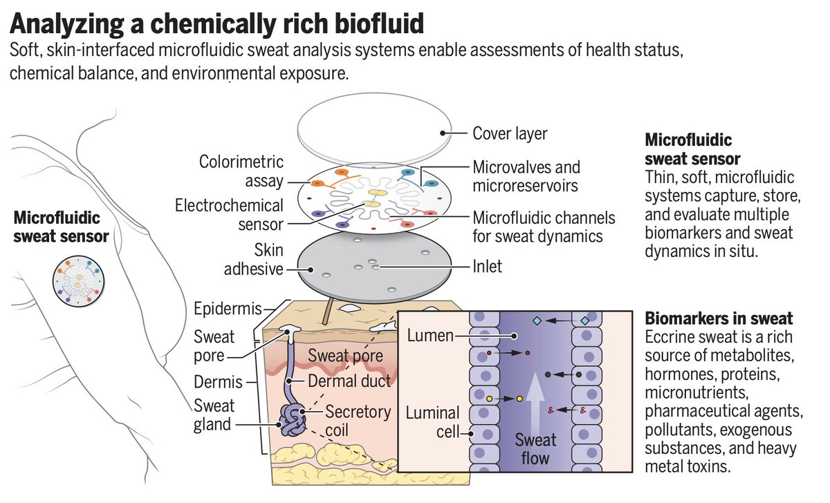 Eric Topol (@erictopol) on Twitter photo Our sweat is a richly informative biomedical resource
science.org/doi/10.1126/scā¦
New microfluidic skin sensors will make this information increasingly accessible
@Sciencemagazine <a href="/NU_QSIB/">Querrey Simpson Institute for Bioelectronics</a> <a href="/NorthwesternEng/">Northwestern Engineering</a> <a href="/NorthwesternU/">Northwestern</a> <a href="/roozyg/">Roozbeh Ghaffari</a> Our sweat is a richly informative biomedical resource
science.org/doi/10.1126/scā¦
New microfluidic skin sensors will make this information increasingly accessible
@Sciencemagazine <a href="/NU_QSIB/">Querrey Simpson Institute for Bioelectronics</a> <a href="/NorthwesternEng/">Northwestern Engineering</a> <a href="/NorthwesternU/">Northwestern</a> <a href="/roozyg/">Roozbeh Ghaffari</a>