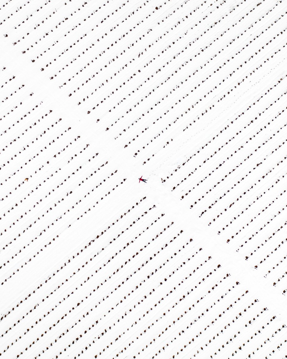 rami_rizk's tweet photo. The Spot     vs     The Shot https://t.co/FAgyutBb2S