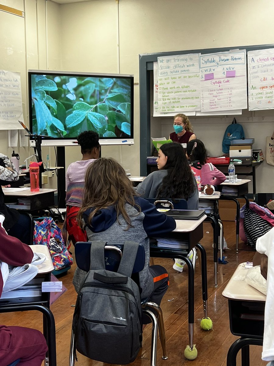 Ms_AdamsinSC's tweet photo. Thank you so much, Ms. Sam, for coming in to teach us how to be poets! We love #splitp!!! https://t.co/WkO1Hvgvoc