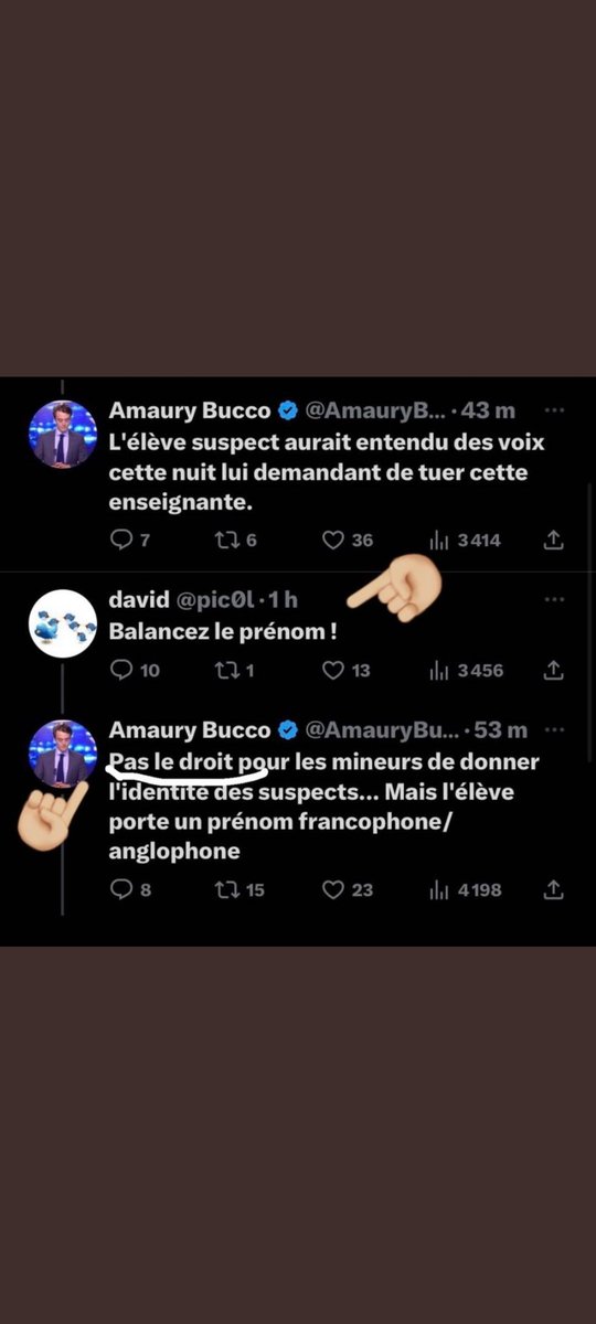 NJustincase's tweet image. On vous connaît par cœur les sbires du RN.