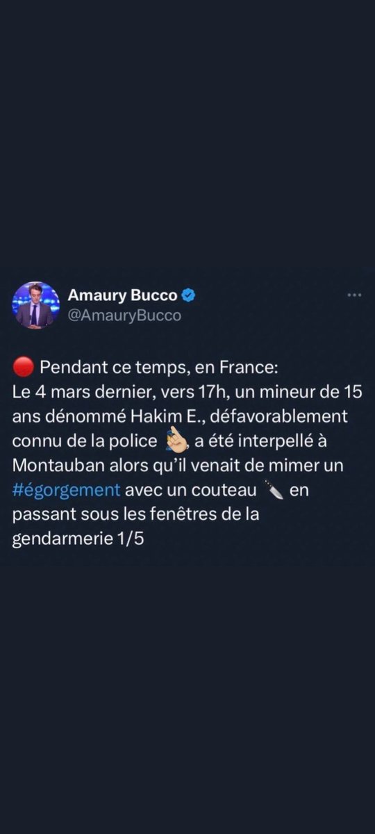 NJustincase's tweet image. On vous connaît par cœur les sbires du RN.