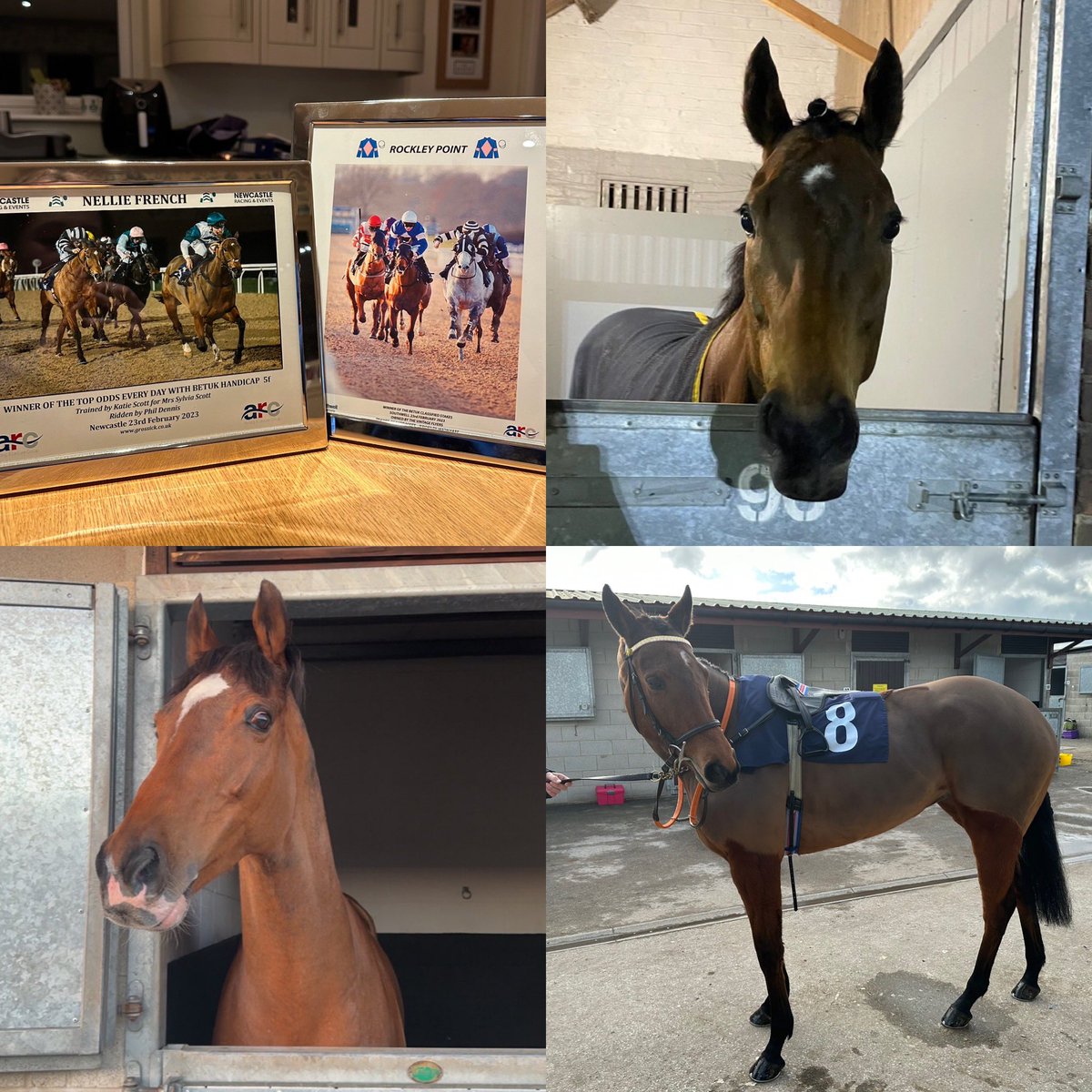 K_scottracing's tweet photo. Todays Results
Far From A Ruby 10th
Rockley Point 🥇🥇🥇
Nellie French 🥇🥇🥇
#doublesup #winnerwinner https://t.co/5RiZQbVMGb