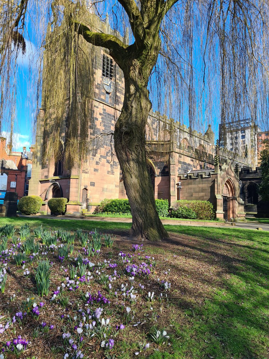 mirandamclarke (@mirandaclarke) on Twitter photo A wonderful, sunny spot in Eccles today to have lunch 🥰 I 💚 Salford #crocus #greenspace #nature #salford #eccles <a href="/MattersSalford/">Wellbeing Matters Salford</a> <a href="/Monton70/">Postcards from Salford</a> A wonderful, sunny spot in Eccles today to have lunch 🥰 I 💚 Salford #crocus #greenspace #nature #salford #eccles <a href="/MattersSalford/">Wellbeing Matters Salford</a> <a href="/Monton70/">Postcards from Salford</a>