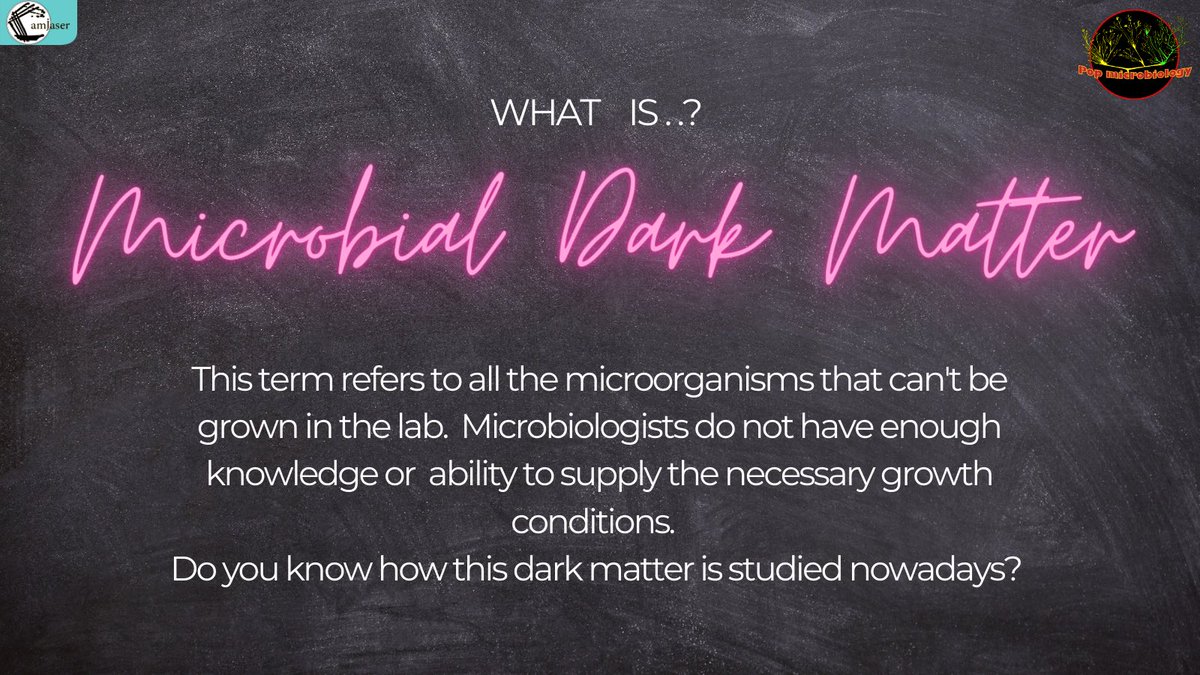 The overlooked microorganisms… #darkmatter #sequencing #identification #whosthere #darkside #darkmatter #microbiology #biology #didyouknow #science #research #scicomm #sciencecommunication #stem #womeninscience