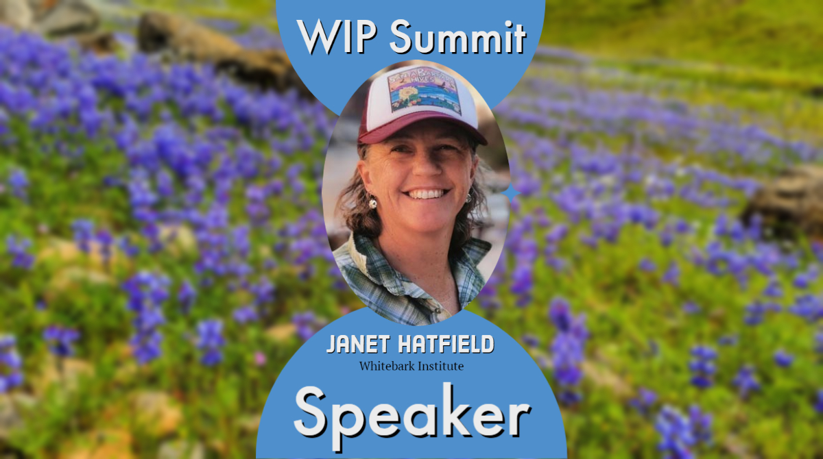CAsWatershed's tweet photo. This year's #WIPSummit will feature many amazing speakers, including Janet Hatfield from the Whitebark Institute. See the complete list of speakers and details at: https://t.co/smZkmJ1Ojp https://t.co/QDBbjR6oEP
