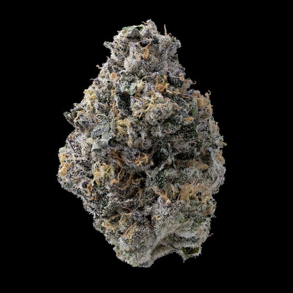 Lifted_cannabis's tweet image. One of our hardest hitting strains to date. Permanent marker packs a heavy punch with an insane 4.9% terps. #terpy #heavyhitter #fridayincoming #limited