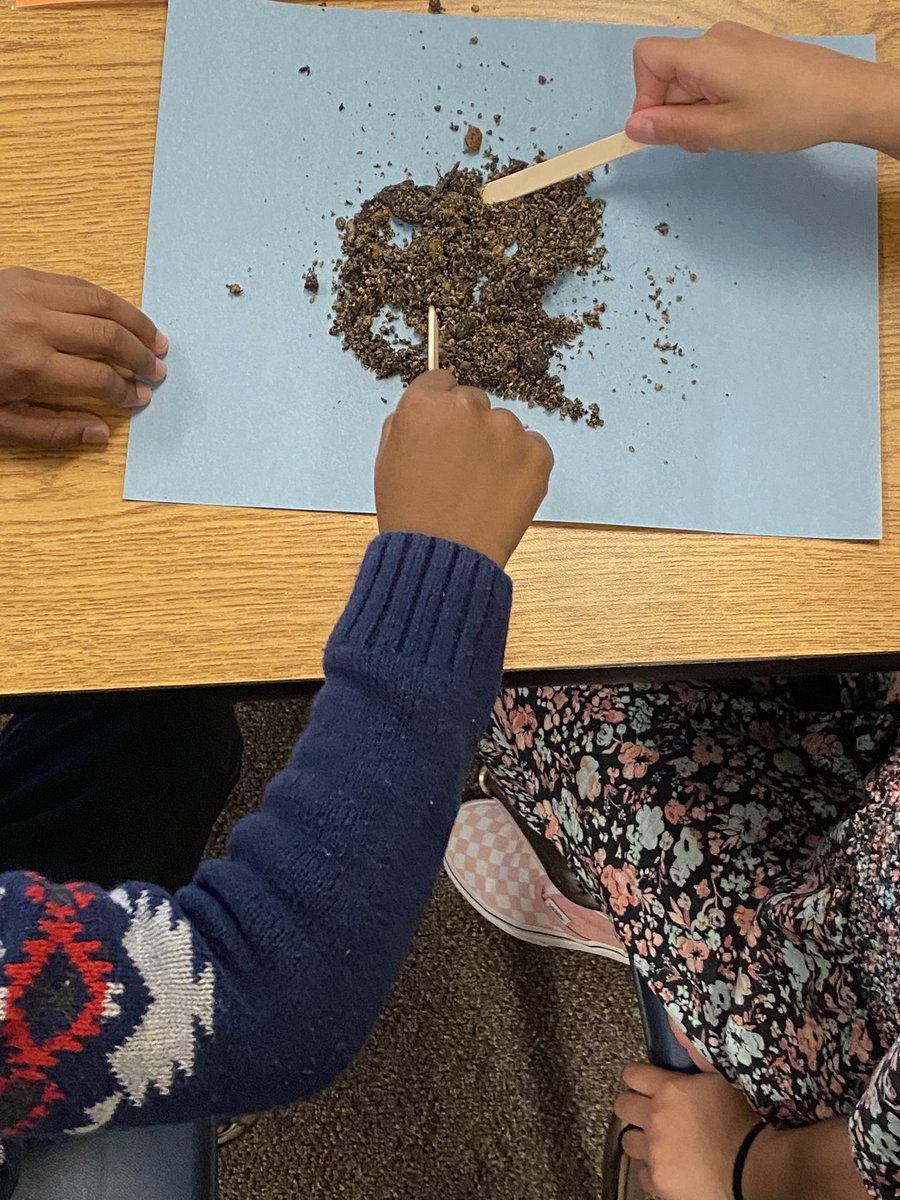 WeinkeLara's tweet image. Kinder scientists exploring soil  #kindervibes @HospElementary