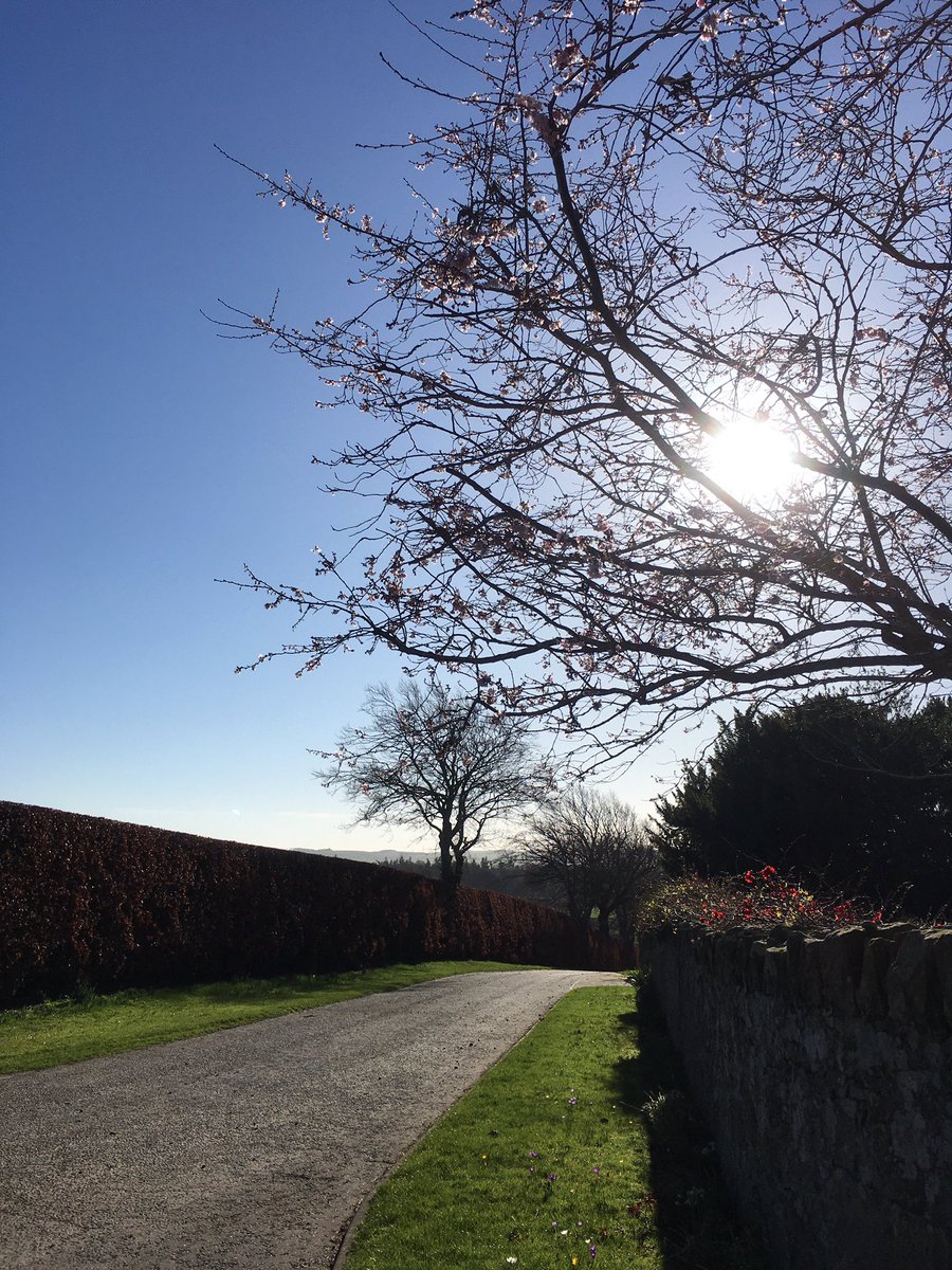 SoilEssentials's tweet photo. A cold, bright morning, along a winding road with Spring on its way… led us to this award-winning business… #farmingsmarter #tellyoutomorrow https://t.co/g7zjiBGBeq
