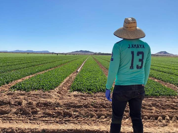 ufwfoundation's tweet photo. Jonathan is a farm worker in Yuma, AZ and student at Arizona Western College. “Yuma to me means opportunities, school, work, friends and family. Yuma gives me the opportunity to change my life in a good way. I am proud to be from Yuma.” #ThisIsYuma https://t.co/mAXTqlUrTN