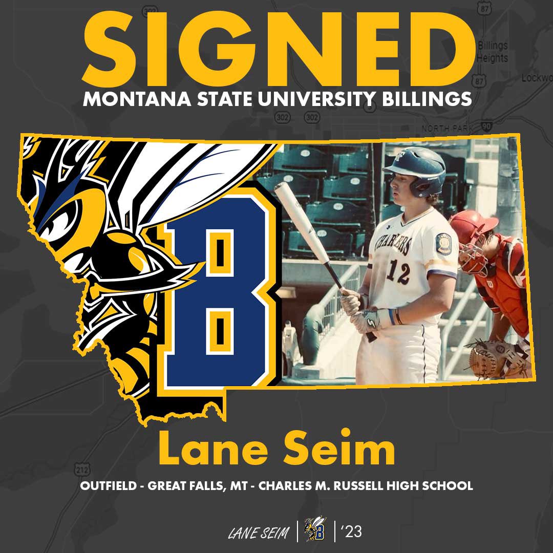 MSUB Baseball tweet media