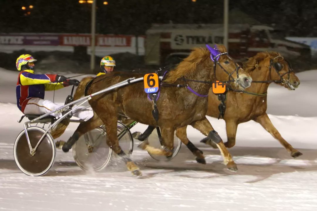 Lappeen raviradan toimitusjohtaja Teemu Keskitalo täräytti Kouvolan torstairaveissa kaksi voittoa ohjastajan pukilla! Voittoisat ajokit olivat molemmat Terhi Vanhalan valmennettavia, Real Hialeah ja Valencia. #ravit #lappeenravit #lappeenravirata #raviurheilu