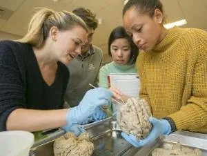 boostatduke's tweet image. DUNE x @DukeBrain provides #highschoolstudents with a cutting-edge #research experience in #neuroscience labs at @DukeU &amp;amp; encourages participation by students from communities that are #URMinSTEM. Participants receive a stipend. Apply and share!  buff.ly/3EujbvW