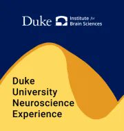 boostatduke's tweet image. DUNE x @DukeBrain provides #highschoolstudents with a cutting-edge #research experience in #neuroscience labs at @DukeU &amp;amp; encourages participation by students from communities that are #URMinSTEM. Participants receive a stipend. Apply and share!  buff.ly/3EujbvW