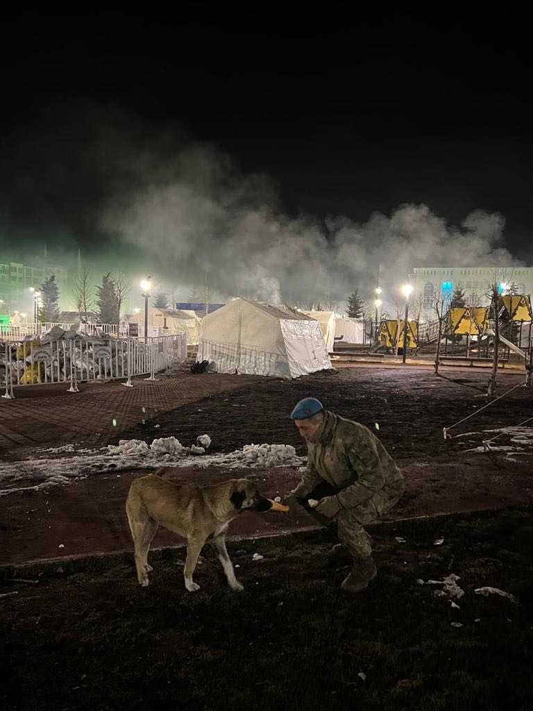 Yaralarımızı Birlikte Sarıyoruz 🇹🇷