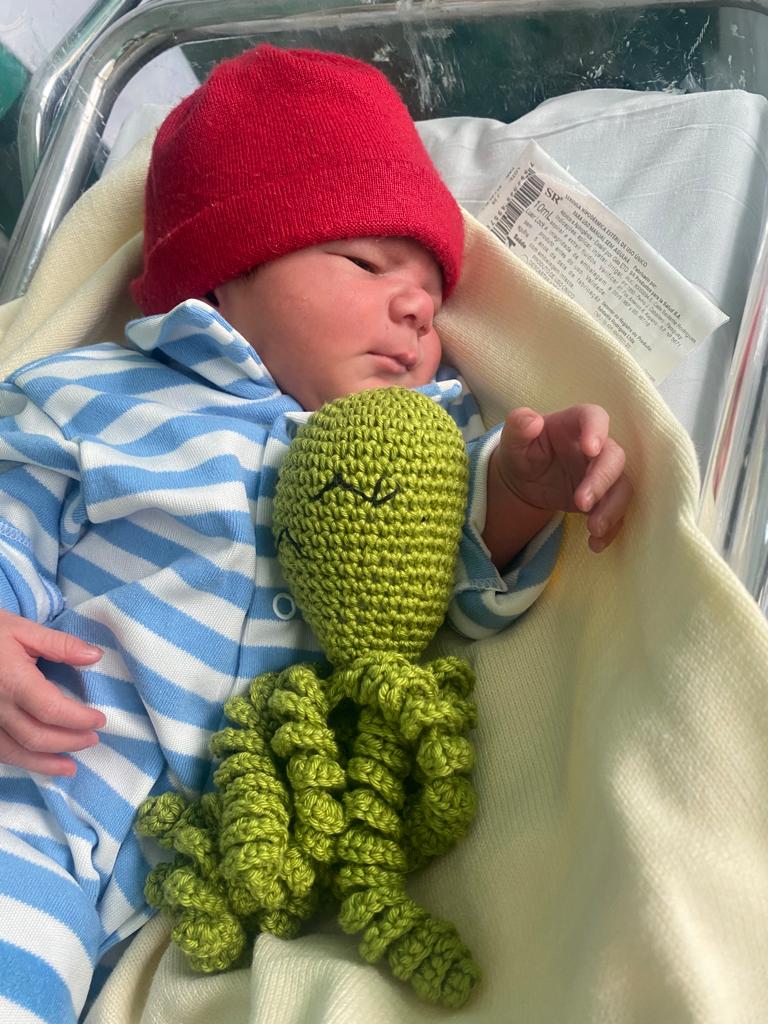 saudeniteroi's tweet photo. Bebês na Maternidade Alzira Reis e no Hospital Pediátrico Getulinho recebem polvos em crochê que auxiliam em seus tratamentos.
Os bonecos interferem positivamente em seus sinais vitais. 
O Projeto Octo Niterói tem página no Instagram, conheça: https://t.co/1BLOEWuAIb https://t.co/oPji0t4T6d