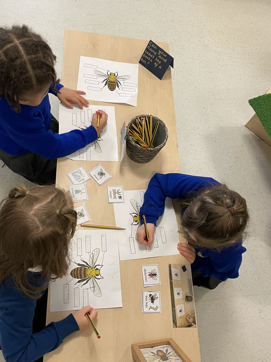 Foxfield EYFS Chestnut tweet media