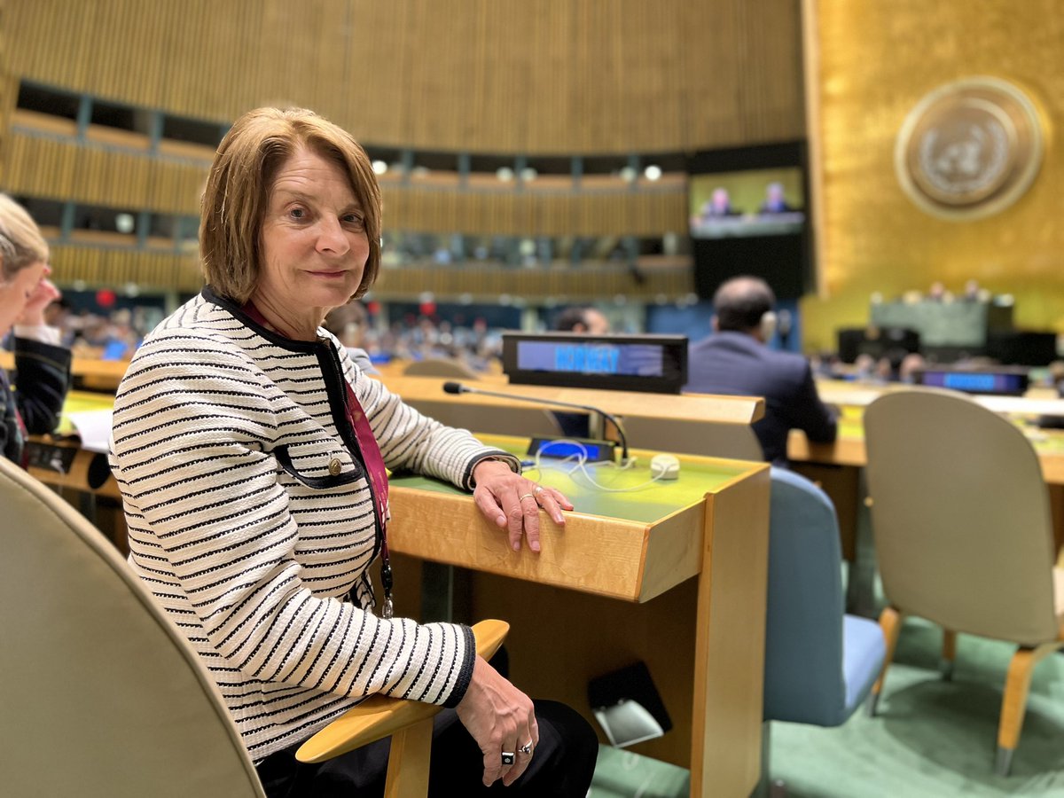 NorwayUN tweet media