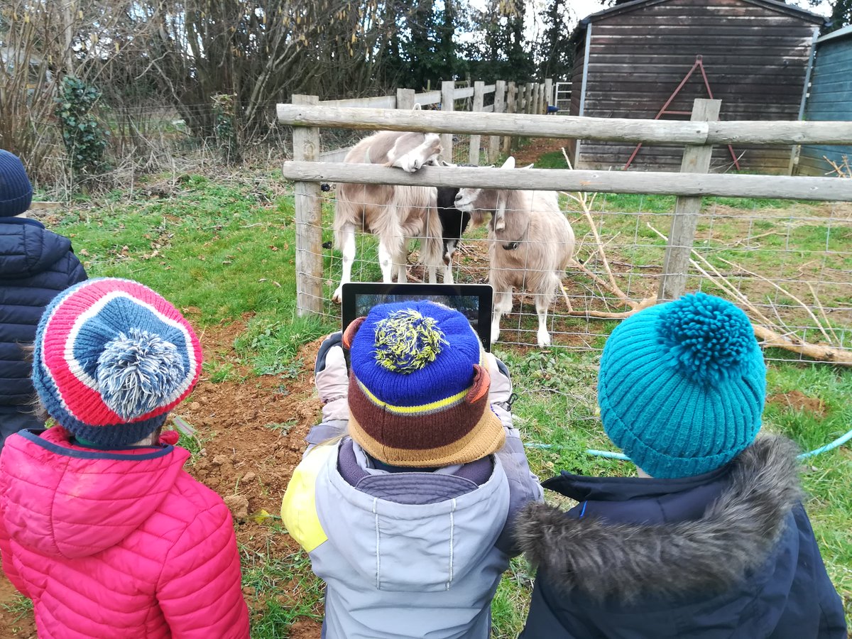 SibfordEYFS's tweet photo. Using the Ipads to take some photos of the animals at Sue's Farm. Tomorrow, we will be using them to inspire some information writing.
#writingforapurpose #BeYouBeSibford #SibfordEYFS #STEM #STEMeducation #STEMkids #outdoors #countryliving #farms #photography #SibfordUTW https://t.co/XAPDoctfBt