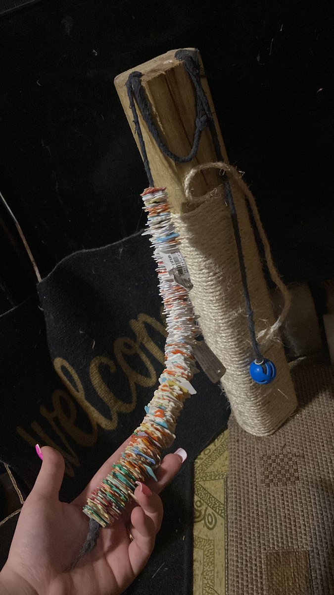 bunnycrossing tweet media