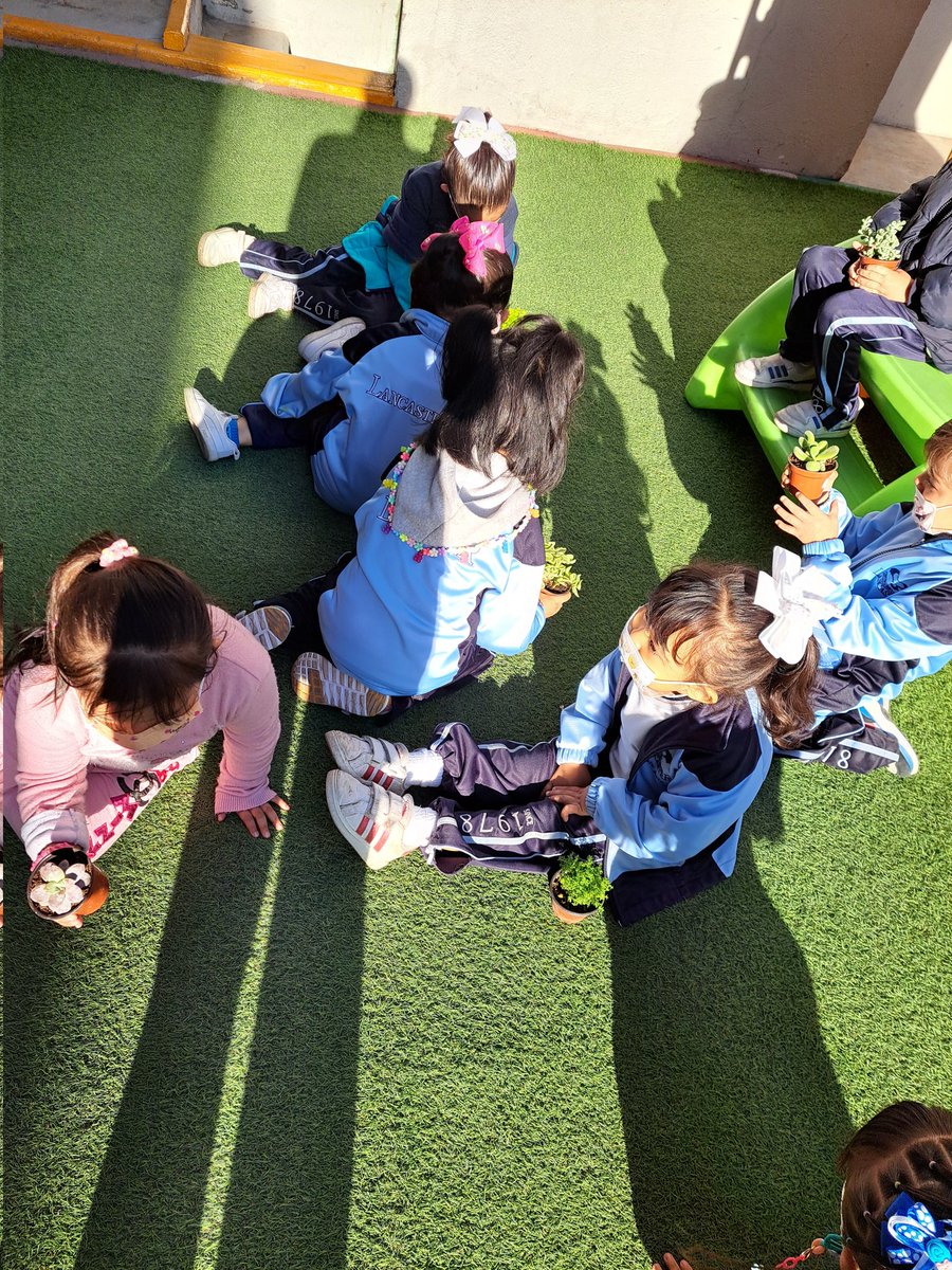 TeacherEliCF's tweet photo. Agradecemos a las familia Rivera Rivero por las enseñanzas del día de hoy Aprendo Contigo "Sembrando vida" 🌱

Los pequeños de Paddington se llevan una misión; cuidar a una planta bebé para que crezca sana y fuerte 💕

@preeslancaster https://t.co/A5oYizaLvn