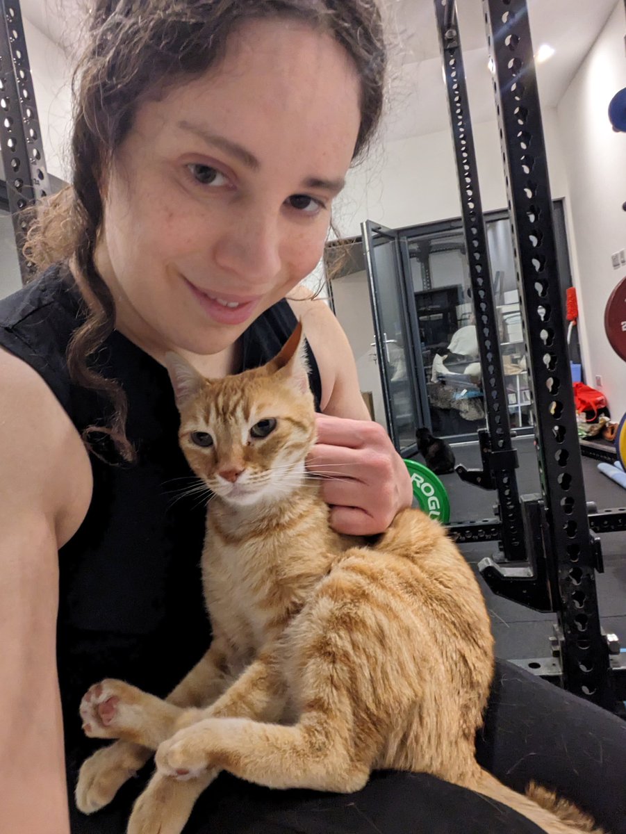 When you're trying to workout but the cat demands your attention... 🐱