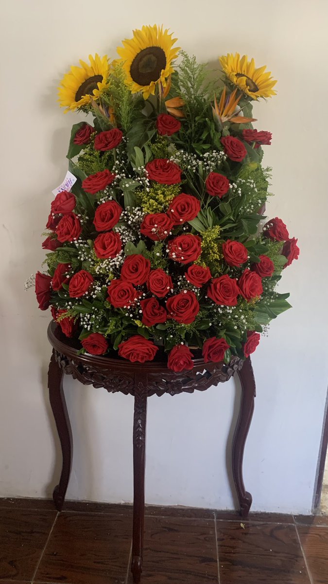 almaguevara's tweet photo. Amore https://t.co/lsDmcdFXJ9