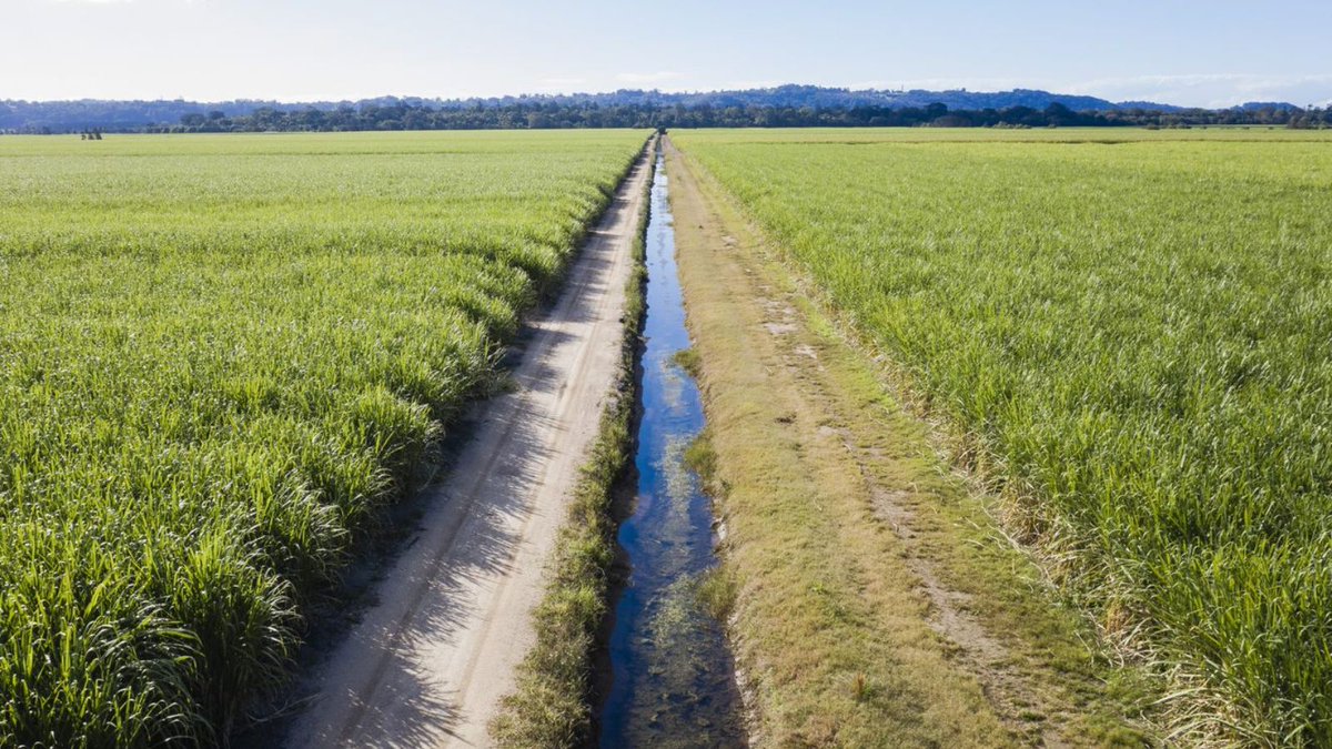 NRAR's tweet image. When you comply with NSW metering rules you ensure:

🌾every farmer has a fair share to water
📈the value of irrigated agriculture production increases
🌏communities, environments and economies prosper.

Read more about the value of water: bit.ly/3HRz1RN