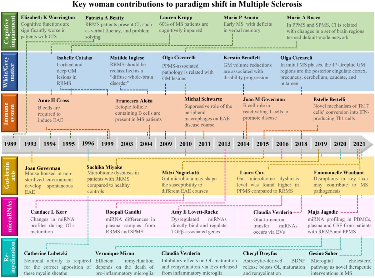Dr. Brandon Beaber tweet media