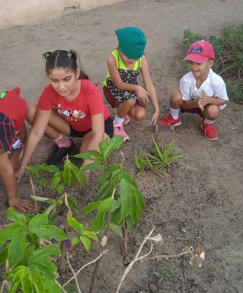 ComunicDMEColon's tweet photo. El huerto escolar permite a  niños y niñas de la Primera Infancia explorar e interactuar de su entorno más cercano, generan experiencias tanto  individuales como colectivas, construyen y adquieren nuevos conocimientos y aprendizajes.  #ColonEnVictoria @CubaMined @Ivonne42687134 https://t.co/K4tM1M75Gn