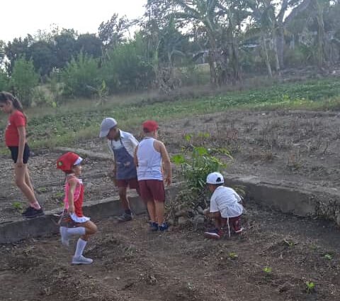 ComunicDMEColon's tweet photo. El huerto escolar permite a  niños y niñas de la Primera Infancia explorar e interactuar de su entorno más cercano, generan experiencias tanto  individuales como colectivas, construyen y adquieren nuevos conocimientos y aprendizajes.  #ColonEnVictoria @CubaMined @Ivonne42687134 https://t.co/K4tM1M75Gn