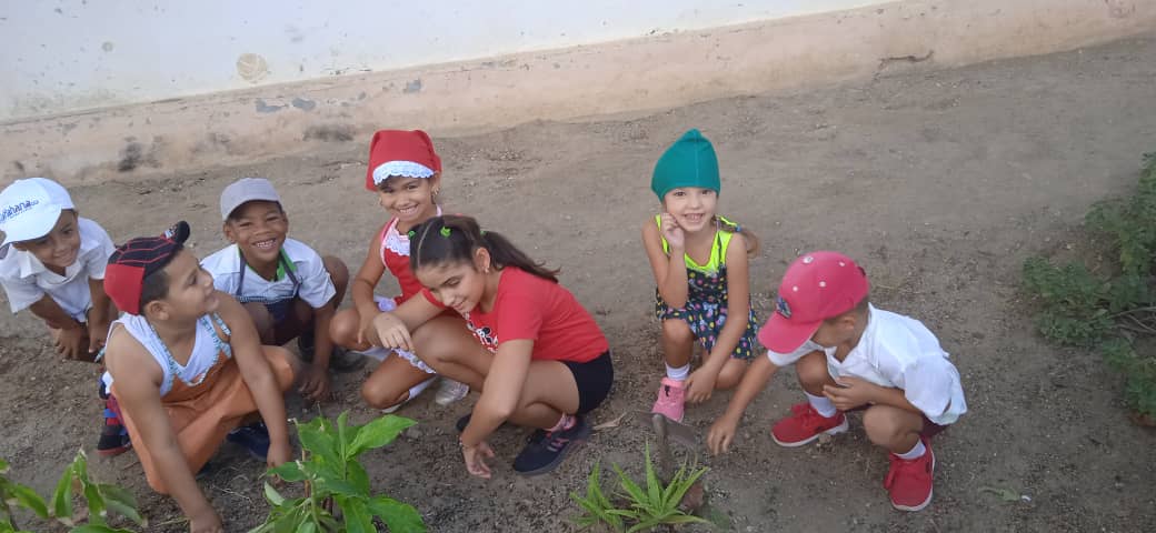 ComunicDMEColon's tweet photo. El huerto escolar permite a  niños y niñas de la Primera Infancia explorar e interactuar de su entorno más cercano, generan experiencias tanto  individuales como colectivas, construyen y adquieren nuevos conocimientos y aprendizajes.  #ColonEnVictoria @CubaMined @Ivonne42687134 https://t.co/K4tM1M75Gn