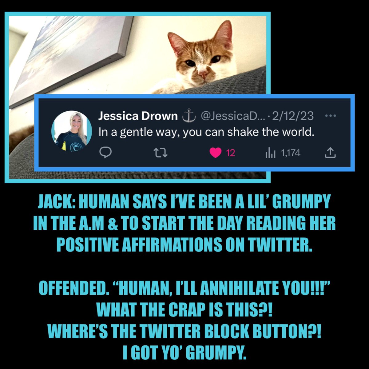 JessicaDrown's tweet photo. Now Jack, the 1st step is acknowledging your morning mood. 🤣 #Grumpy #MorningMemes #catmemes #cat #catlover #catlife #catlovers #orangetabbycats #orangetabbylove #orangetabbylife #funnycat #cathumor #grumpycat #grumpycats #grumpycatmemes #grumpycatmeme #grumpycatface 💙🐈💙 https://t.co/UFPaoMMcyw