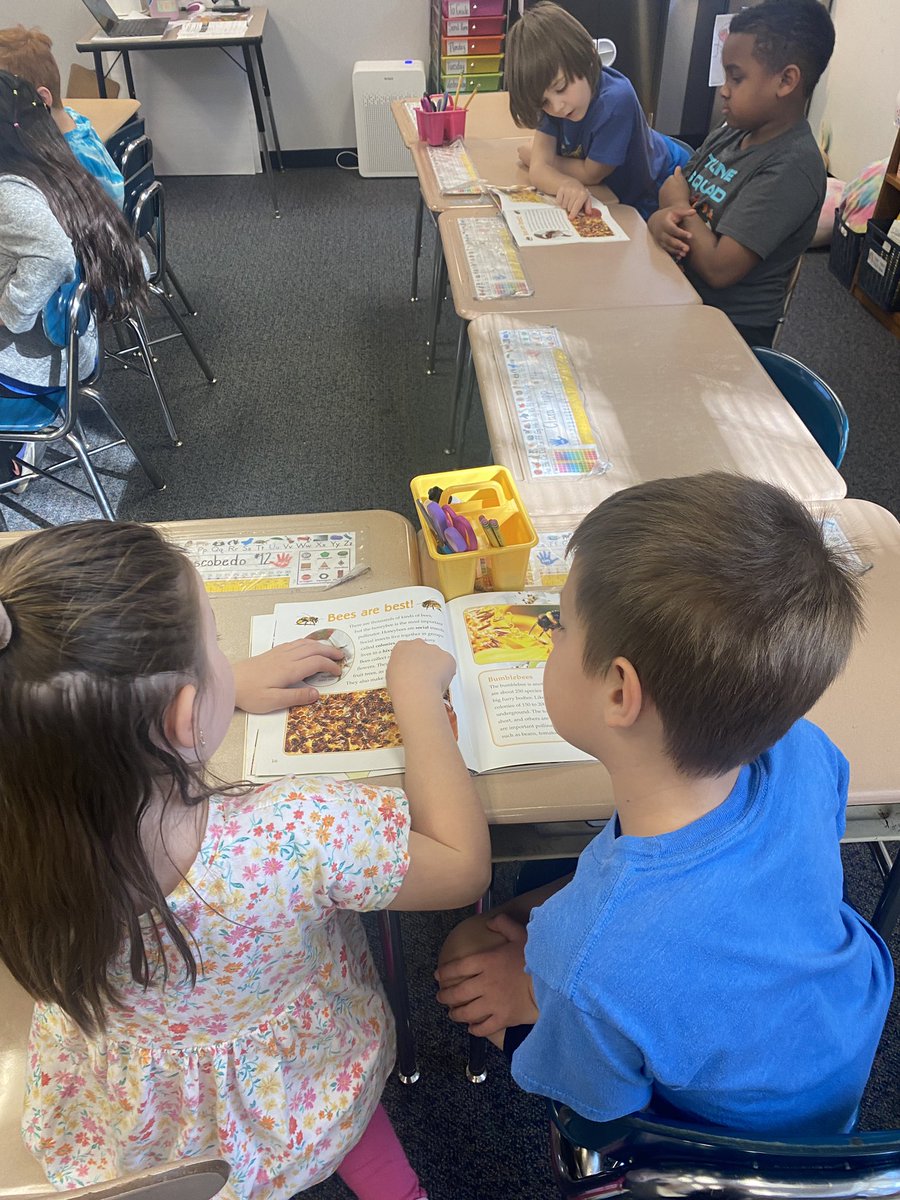 MrsCasbonsClass's tweet photo. Today we researched information about bees using our book about pollinators. Then we discussed with a partner and took notes using the information we found. #research #ugtm @underwoodgtm https://t.co/hHj2GNXwZF