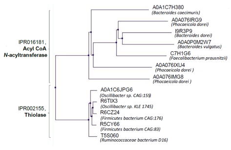 drraajmehta's tweet image. We used a novel computational 🖥️workflow leveraging #metatranscriptomics #metagenomics and #metabolomics 🧬from the #HMP2 to identify 12 candidate enzymes from 2 protein families that could perform this conversion. Neither had  previously been implicated in drug metabolism. (4/9)