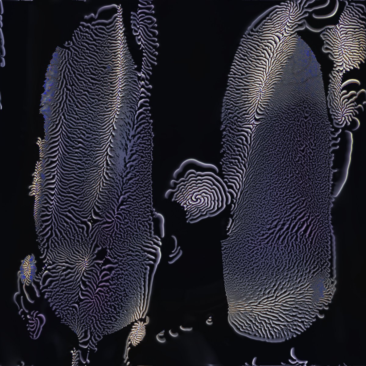 Eric De Giuli tweet media