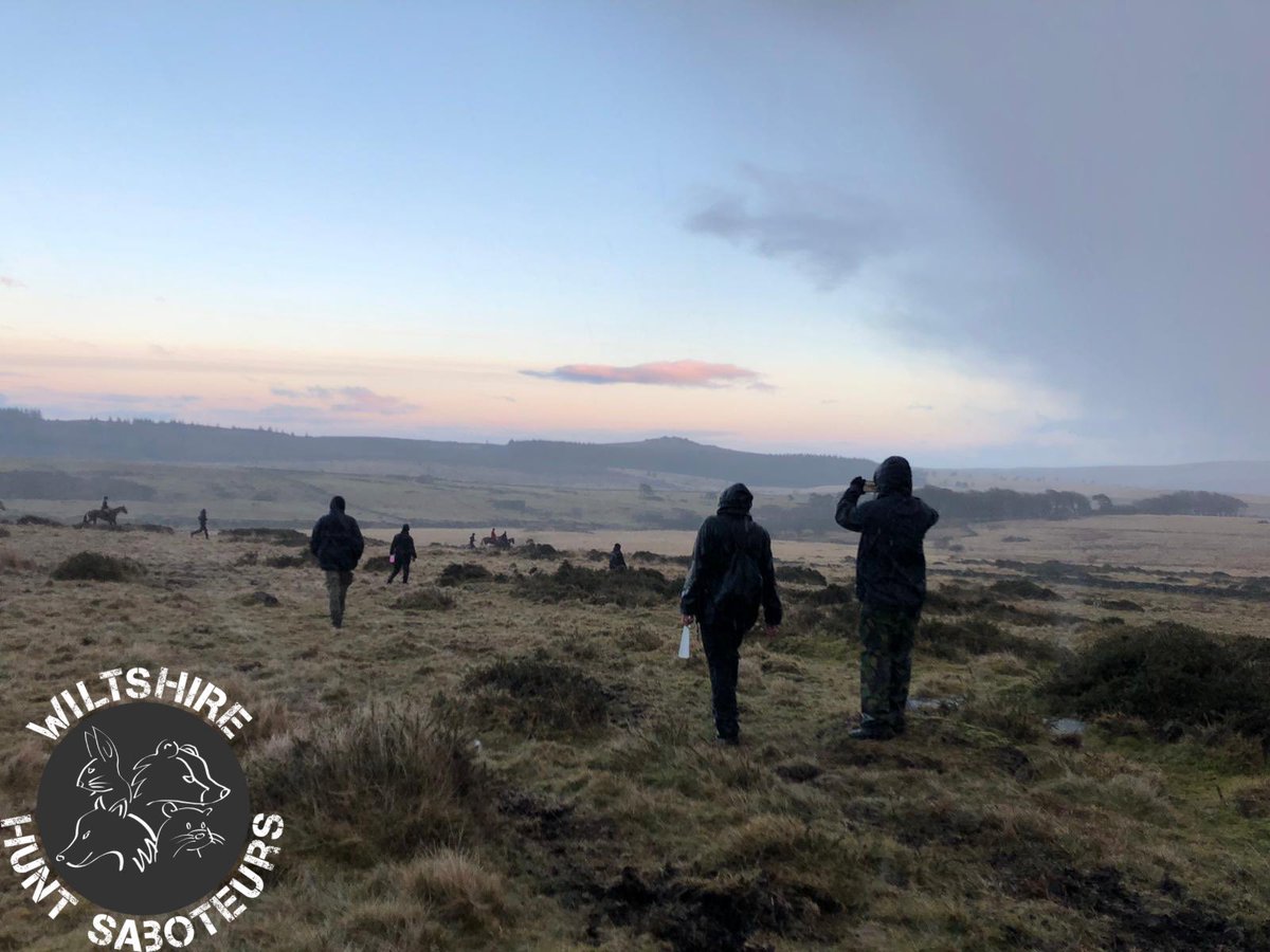 Yesterday our sabs took a trip to Dartmoor, it was a long long day.  So why did some of us take time off work to spend the day in Dartmoor ?

You may well have heard that Alexander Darwall -  fox hunting hedge fund manager and owner of the 4,000-acre Blachford estate, 1/