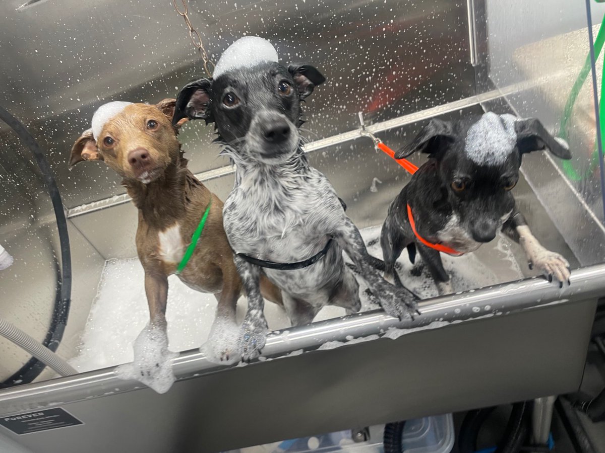 Kathy Griffin tweet media