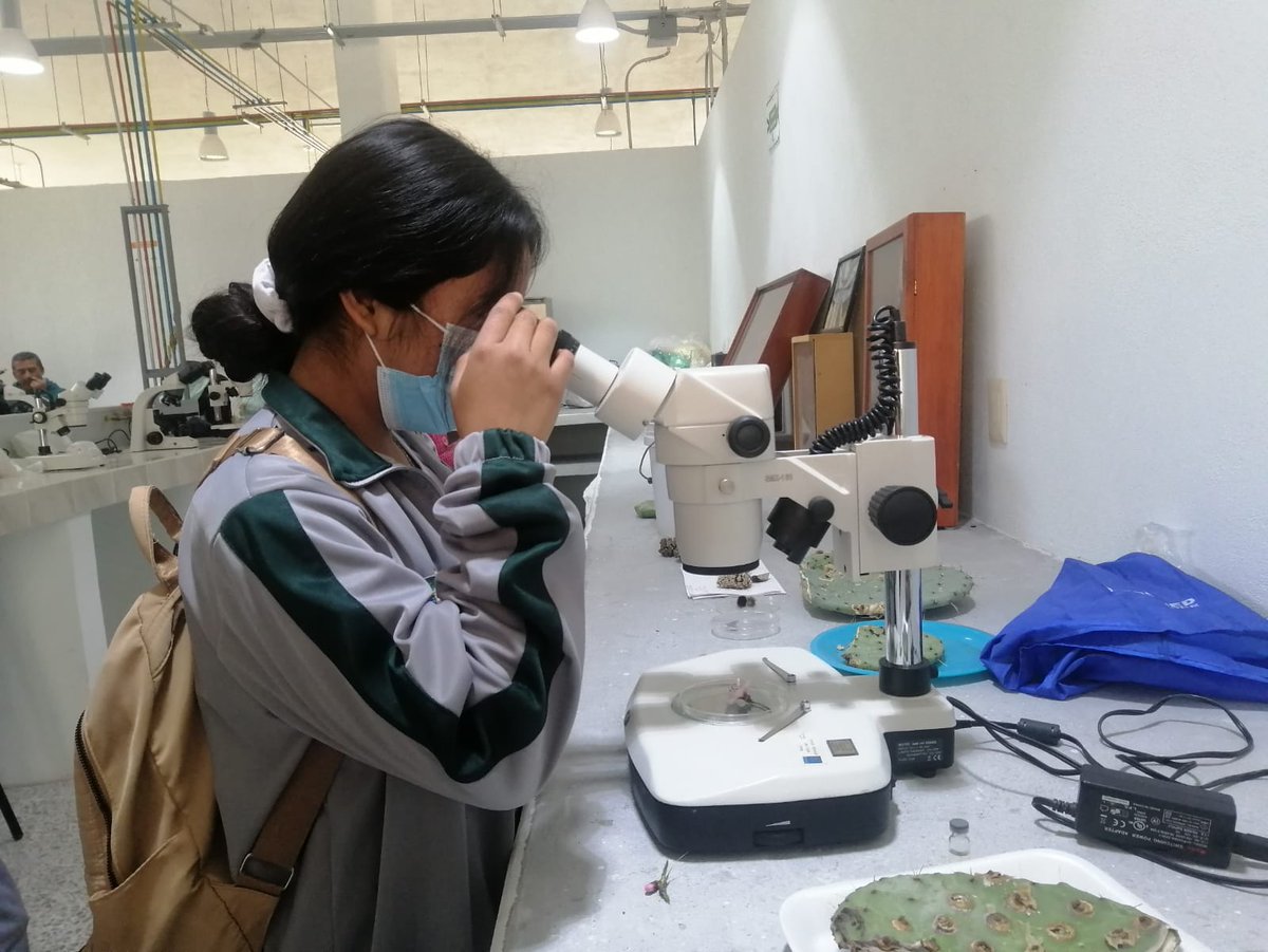 UPFIM_Oficial's tweet photo. Estudiantes del Cobaeh Cemsad Julian Villagran, visitaron nuestras instalaciones dónde pudieron conocer las 8 carreras que se ofertan en la #UPFIM.
¡Los esperamos! 
#LlegasteAquíParaTriunfar 
#CreaTuFuturoEligeUPFIM https://t.co/UckRElIPKR