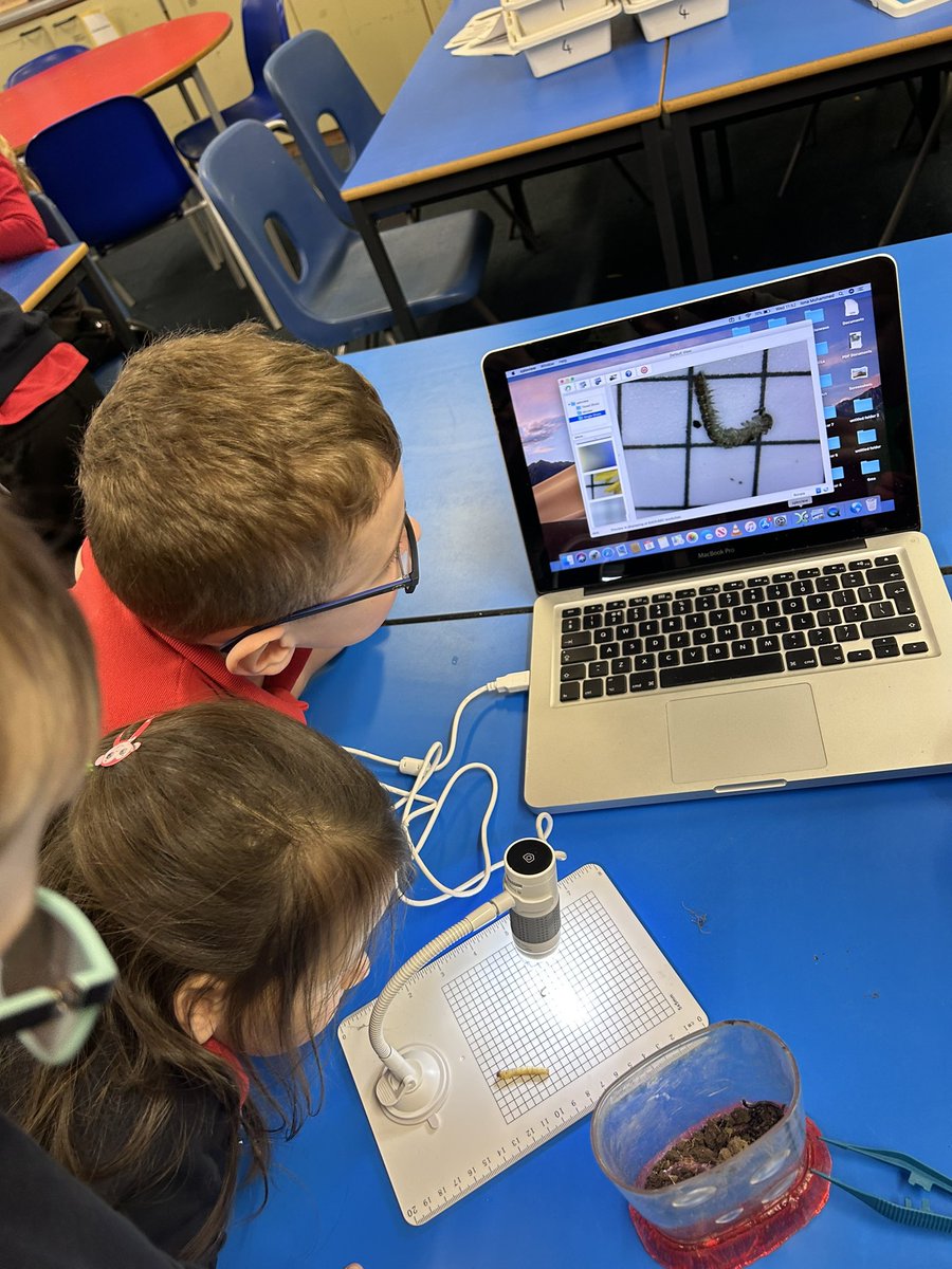 Iona Mohammed tweet media