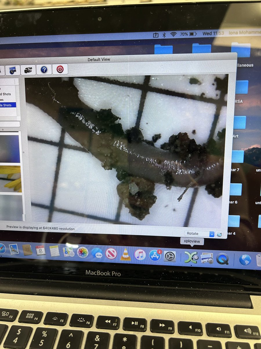 Iona Mohammed tweet media