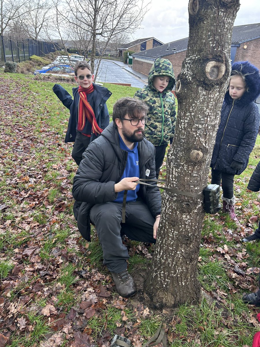 Iona Mohammed tweet media