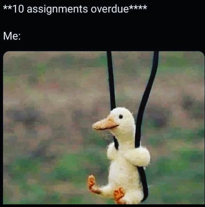 FrankPapers's tweet photo. Fast assistance in: 
Mathematics. 
Essay 
Physics 
Discussion 
Chemistry 
Biology 
Quizzes 
Literature 
Business law
Assignments 
Homework 
Quality work and grades guaranteed. https://t.co/uU2ntxNTnL