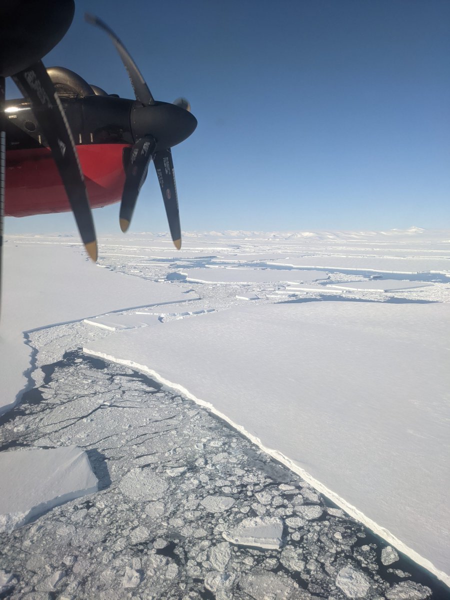 Andy Shepherd tweet media