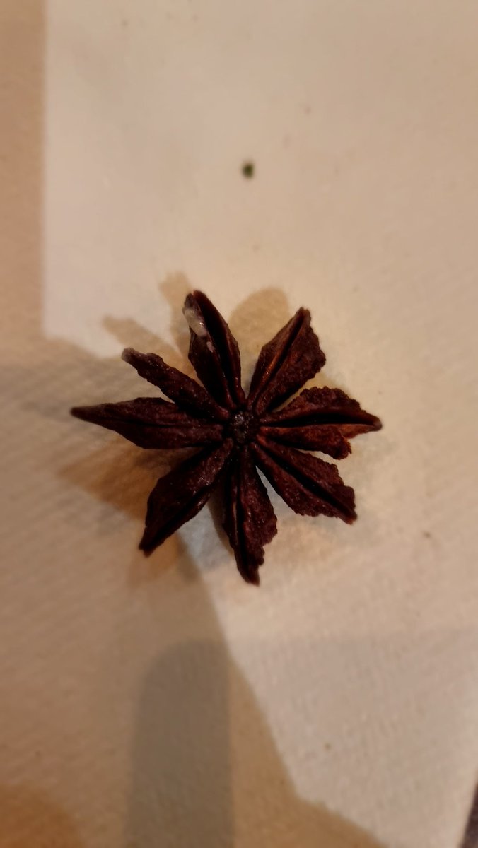 So we visited this Indian restaurant today, and we got served some nice ice cream for dessert, with thargoids on the side <a href="/EliteDangerous/">Elite Dangerous</a> 

I fought this one using only a fork.... 🤣